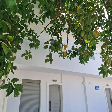 Sarri Appartments Amoudara Lasithiou Esterno foto